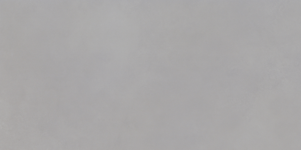 FR48306