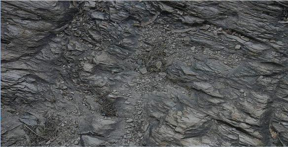 沉沙1.jpg
